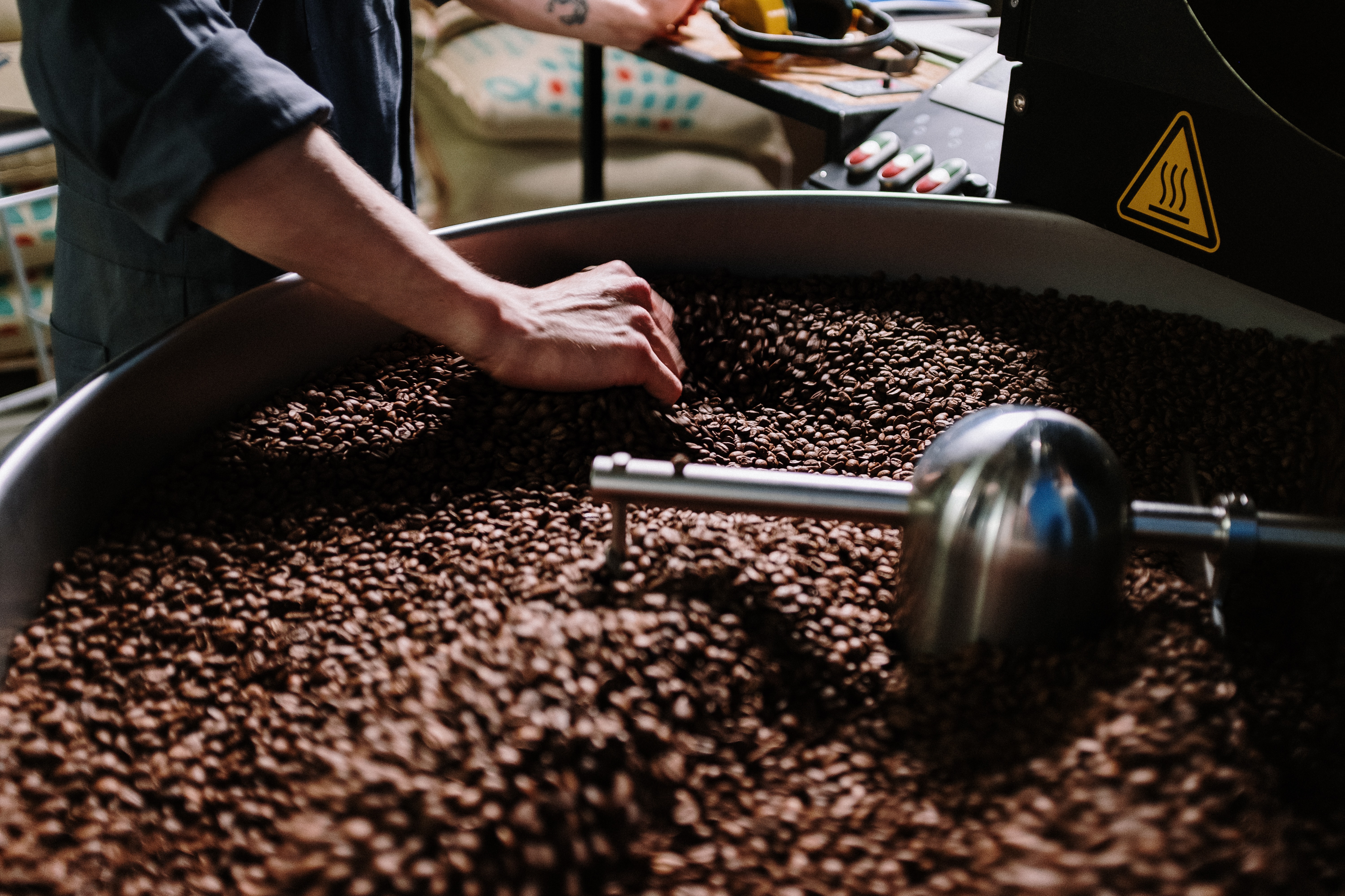 Arabica nebo robusta