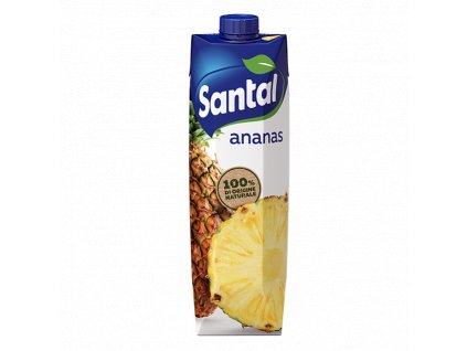 Santal Džus ananas 100% 1l