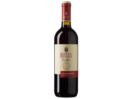 Botte Buona Negromaro Puglia IGT 0,75l