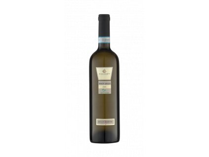 47 Anno Domini Pinot Grigio DOC Bio Vegan 0,7l