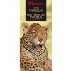 Stainer čokoláda mléčná 43% s vanilkou (vanilla) 50g
