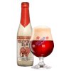 Huyghe Pivo Delirium Red 8% 0,33l