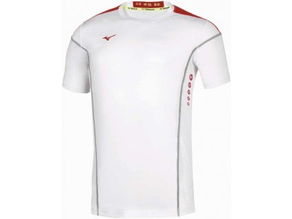 Pánské sportovní tričko Mizuno Hex Rect Tee/White/Navy