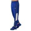 Pánské tepláky Mizuno Athletics Mizuno Sweat pant(M) / Bellwether Blue (Velikost L)