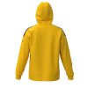 Pánská sportovní bunda Mizuno MZNRB Track Jacket(M) / Yellow (Velikost 3XL)