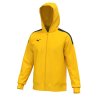 Pánská sportovní bunda Mizuno MZNRB Track Jacket(M) / Yellow (Velikost 3XL)