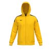 Pánská sportovní bunda Mizuno MZNRB Track Jacket(M) / Yellow (Velikost 3XL)