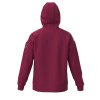 Pánská sportovní bunda Mizuno MZNRB Track Jacket(M) / Burgandy (Velikost 3XL)