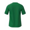 Pánské sportovní tričko Mizuno MZNRB Tee(M) / Green (Velikost 3XL)