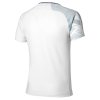 Pánské sportovní tričko Mizuno DB Shadow Graphic SS Tee(M) / White / Gray (Velikost M)