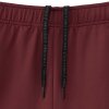 Pánské sportovní šortky Mizuno SR SHORT PANTS / Cabernet (Velikost M)