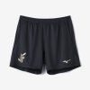 Pánské sportovní šortky Mizuno JF TRAINING PANTS(U) / Black (Velikost M)
