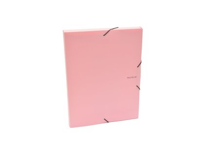 Plastový box s gumičkou Karton PP Pastelini ružový