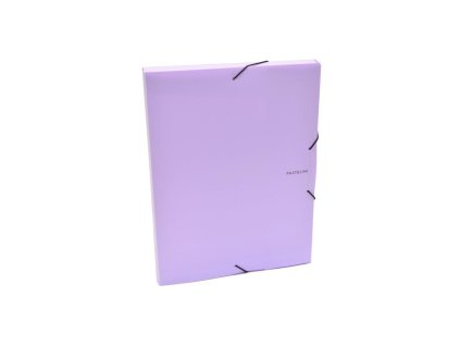 Plastový box s gumičkou Karton PP Pastelini fialový