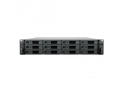 SA3410 Synology SA3410