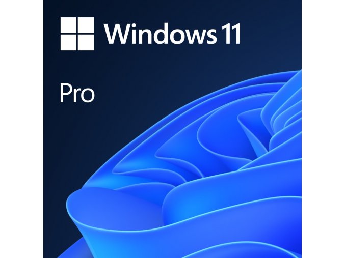 MS Win 11 Pro 64-bit Czech 1pk OEM DVD