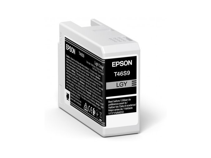 Epson Singlepack Light Gray T46S9 Ultrachrome