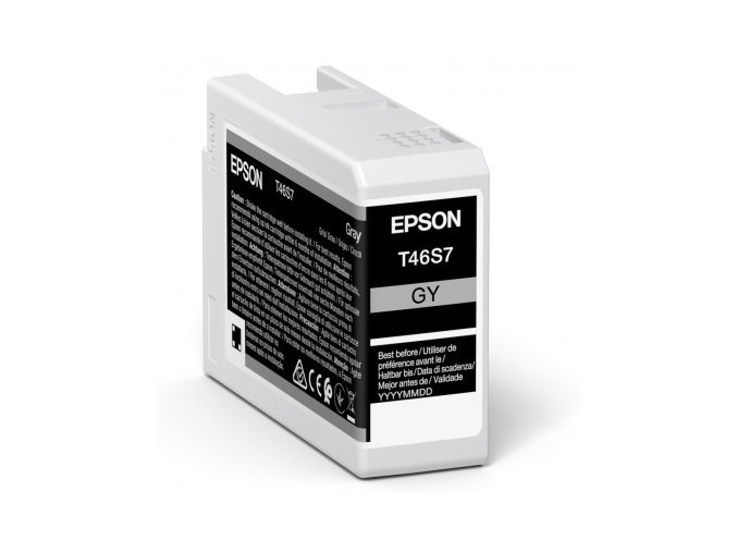 Epson Singlepack Gray T46S7 Ultrachrome