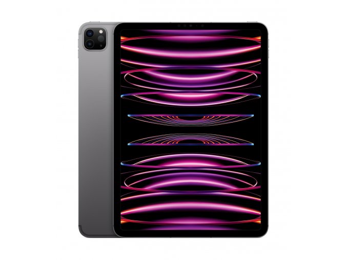 Apple iPad Pro 11"/WiFi + Cell/11"/2388x1668/16GB/2TB/iPadOS16/Space Gray
