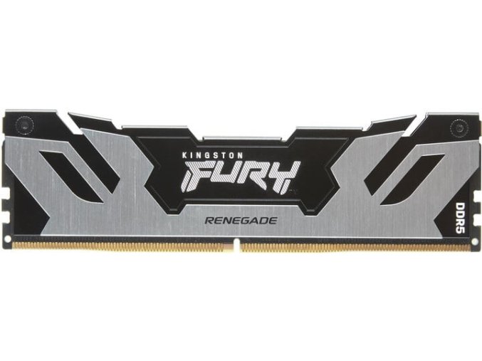 Kingston FURY Renegade/DDR5/48GB/6000MHz/CL32/1x48GB/Black/Silv