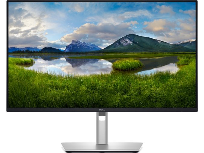 Dell Pro Plus/P2425D/23,8"/IPS/QHD/100Hz/5ms/Blck-Slvr/3R