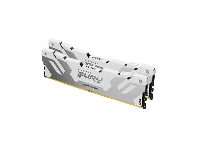 FURY Renegade Silver White DDR5 2 angle lg s