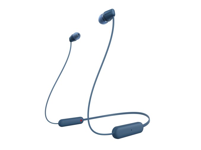 BTIN L standard blue Large s