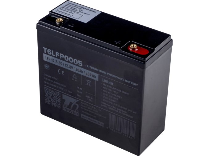 T6LFP0005 s s