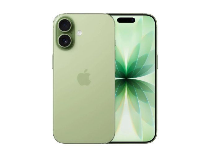 Apple iPhone 17/512GB/Sage