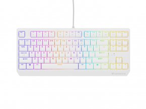 Genesis herní klávesnice THOR 230/TKL/RGB/Outemu Red/Drátová USB/US layout/Bílá