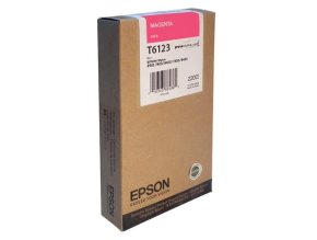 C13T612300 s