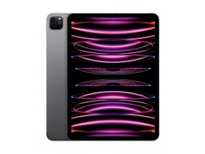 Apple iPad Pro 11"/WiFi + Cell/11"/2388x1668/16GB/1TB/iPadOS16/Space Gray