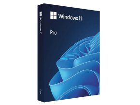 MS Windows 11  Professional FPP 64-bit Eng Intl USB