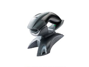 BF s