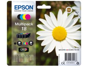 18 multi daisy png