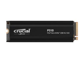 p310 s