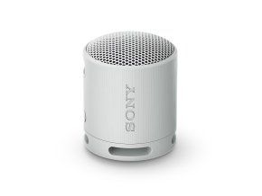 10 SRS XB100 Light Gray s