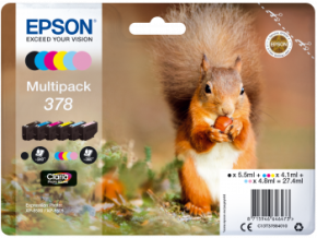 378 squirrel multipack front png s
