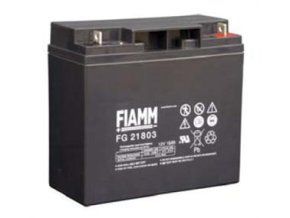 FG21803 s