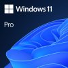 MS Win 11 Pro 64-bit Slovak 1pk OEM DVD