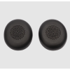 earb