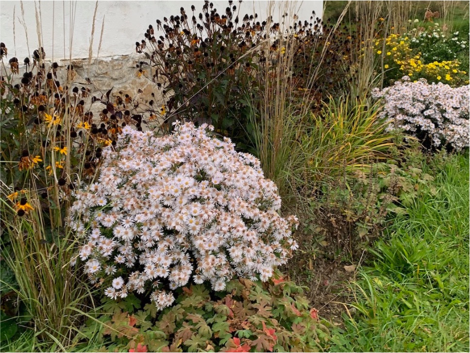 Proměny trvalkového záhonu během roku