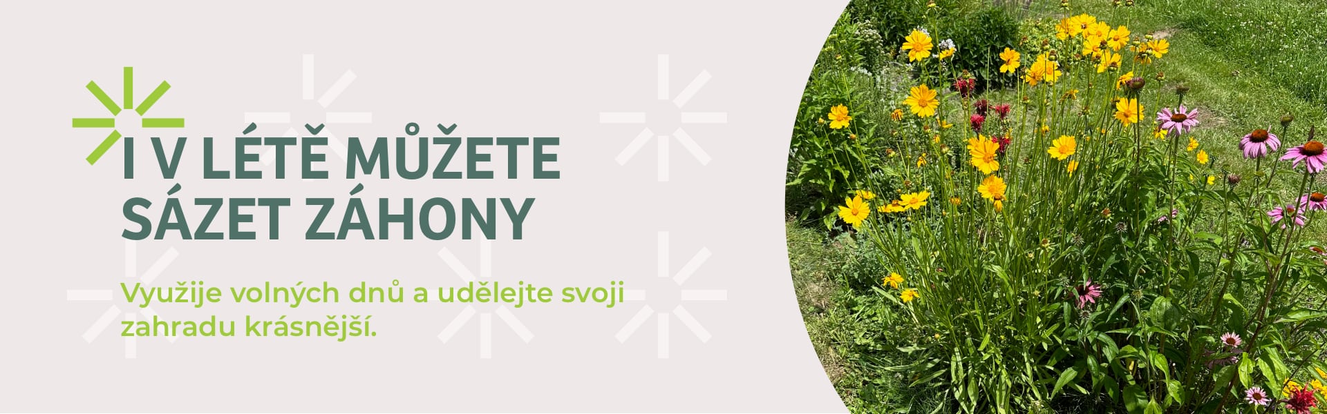 Rozkvetlý trvalkový záhon
