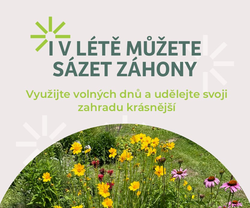 Rozkvetlý trvalkový záhon