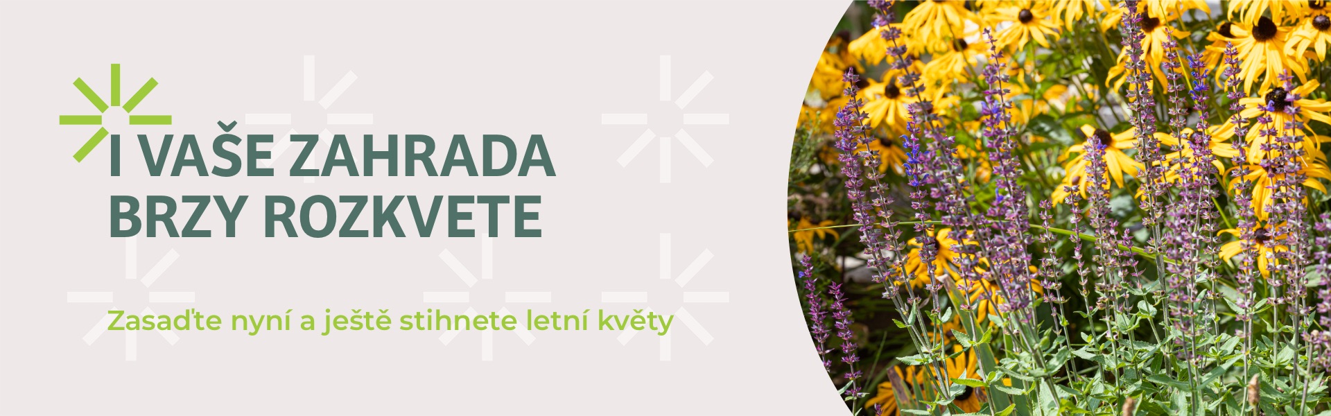 zasaďte na jaře a stihnete letní květy