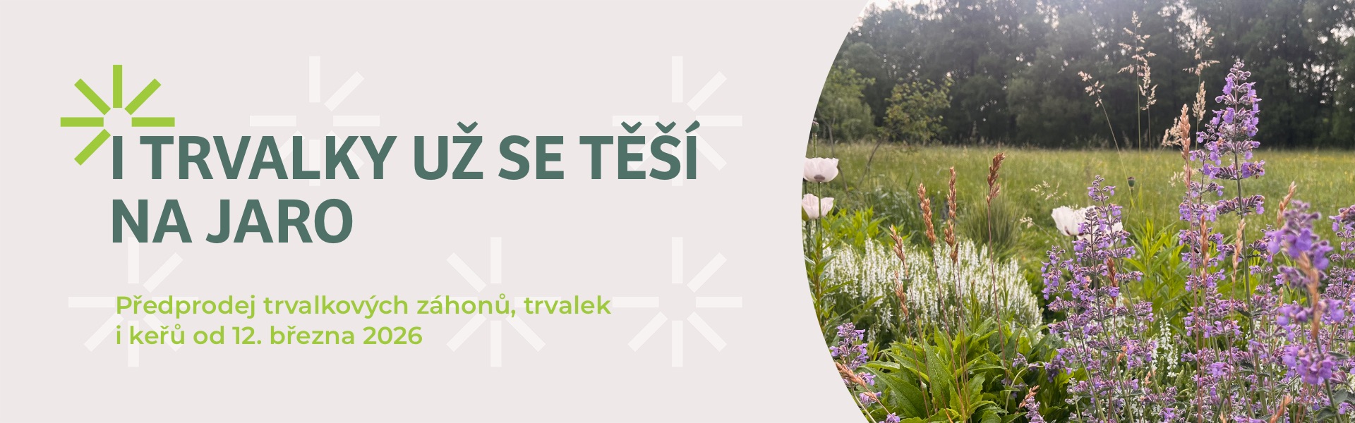 jarní trvalkový záhon