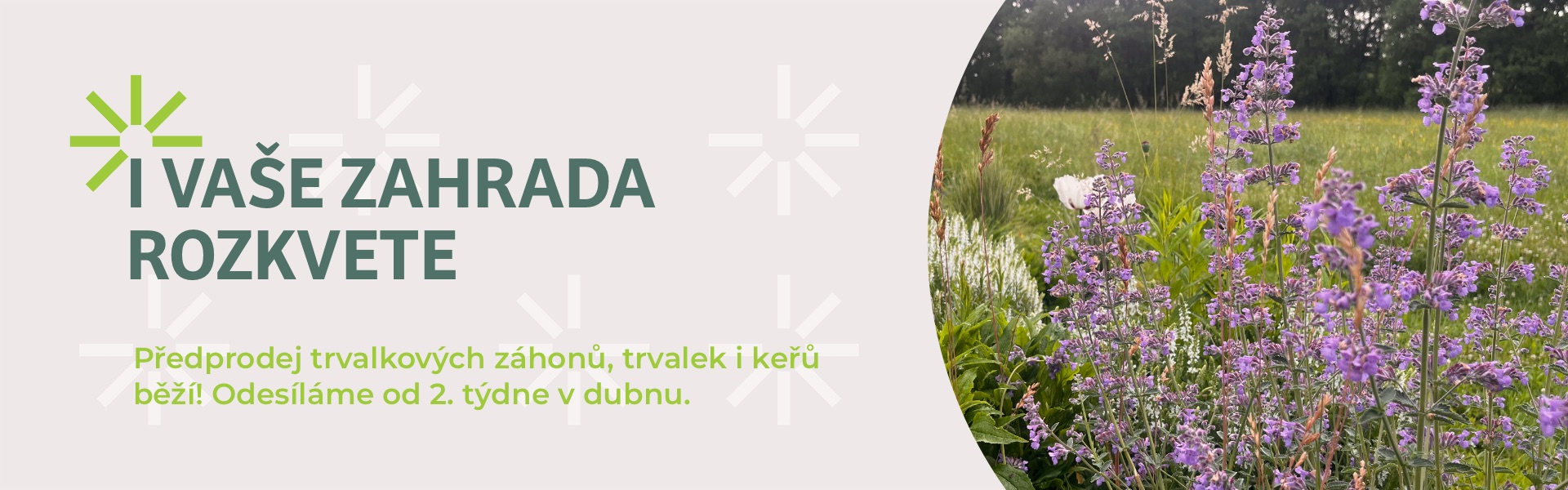 Předprodej trvalkových záhonů jaro 2026
