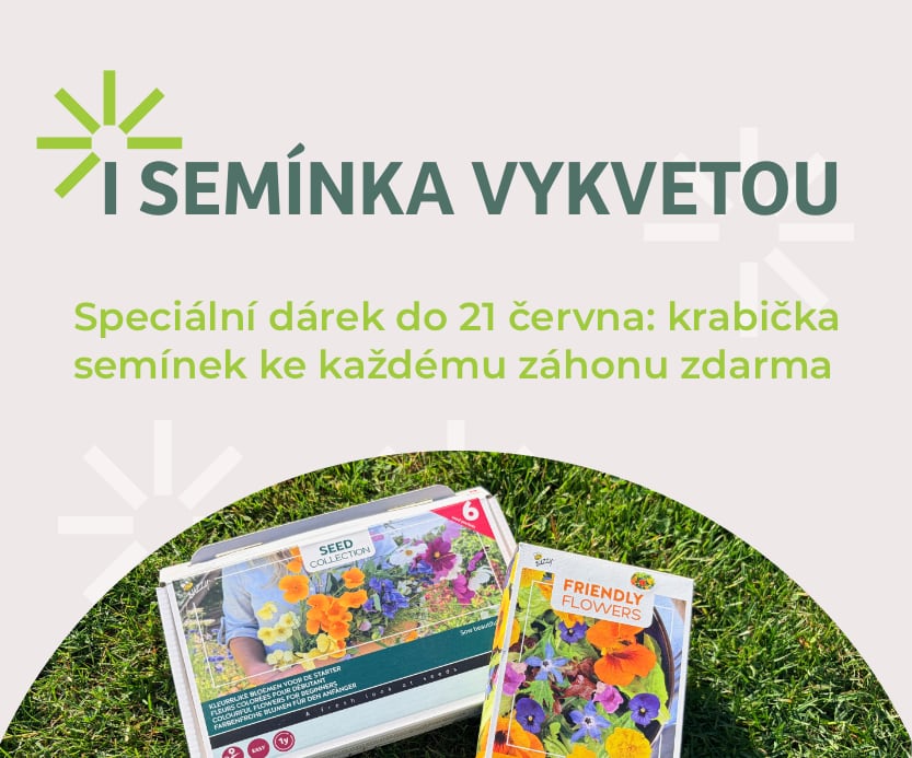 Ke každému trvalkovému záhonu krabička kvalitních semínek letniček nebo trvalek zdarma