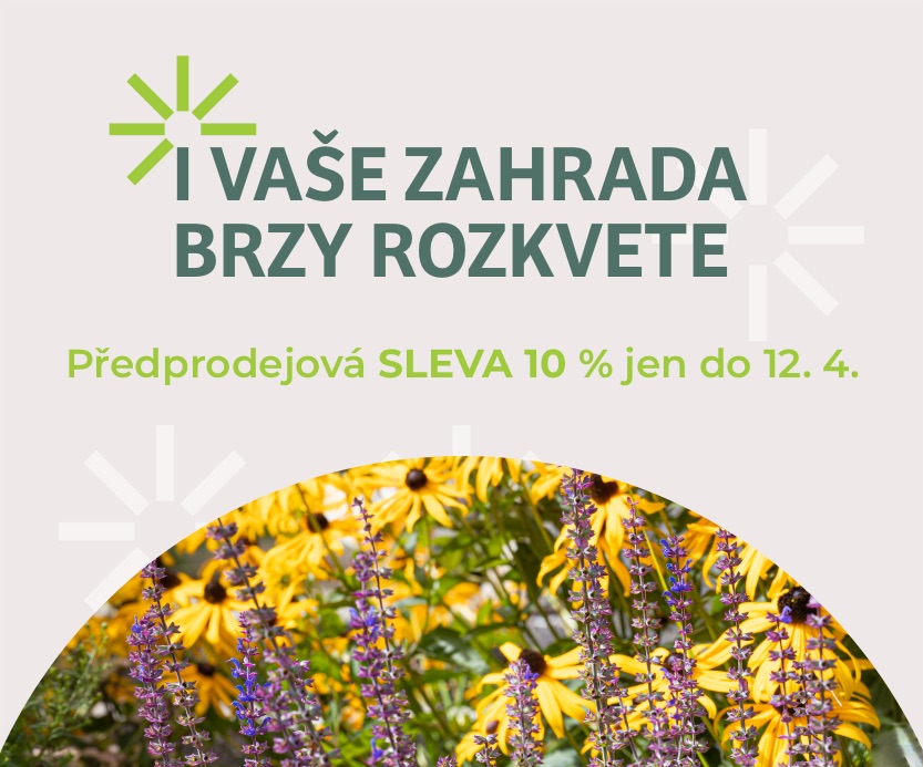 Předprodej trvalkových záhonů jaro 2026