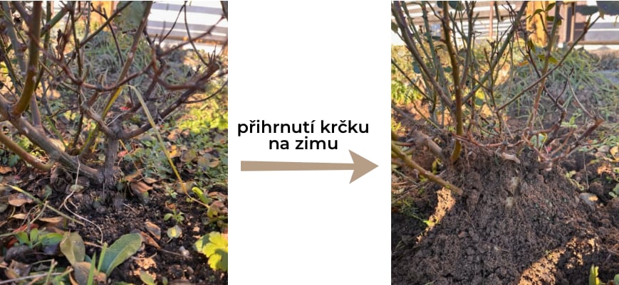 prihtrnuti_krcku